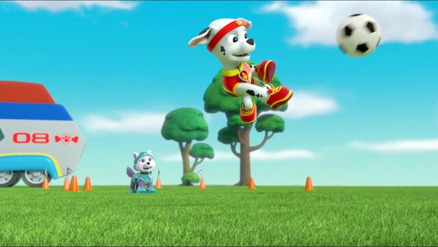 File:All Star Pups! 3.jpg