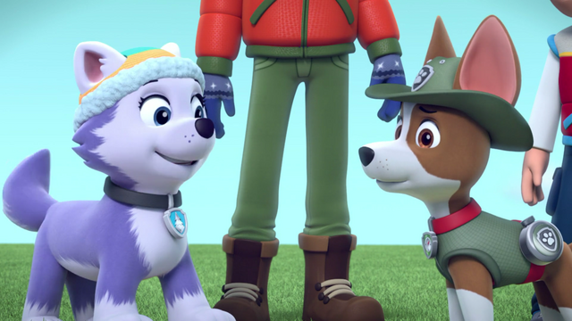 File:Screenshot 2016-12-28-20-50-17.png