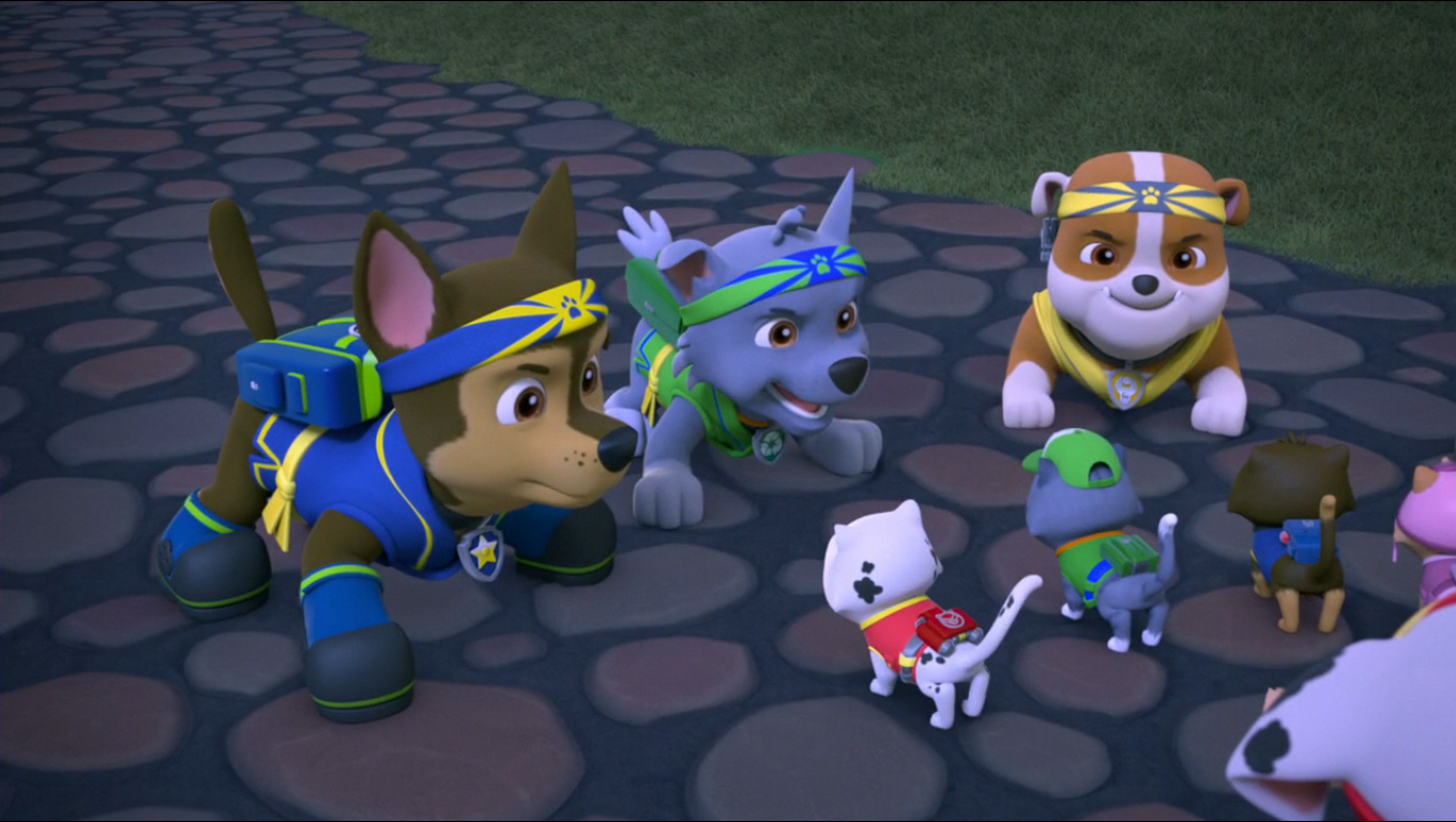 paw patrol pup power