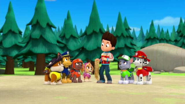 File:PAW.Patrol.S01E26.Pups.and.the.Pirate.Treasure.720p.WEBRip.x264.AAC 846145.jpg