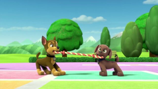File:PAW.Patrol.S01E15.Pups.Make.a.Splash.-.Pups.Fall.Festival.720p.WEBRip.x264.AAC 669903.jpg