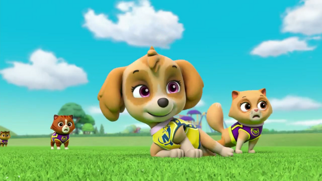 File:Pups Soccer 24.png