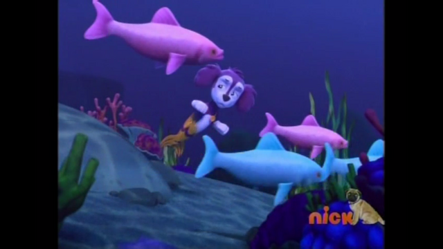File:Pp2776.png