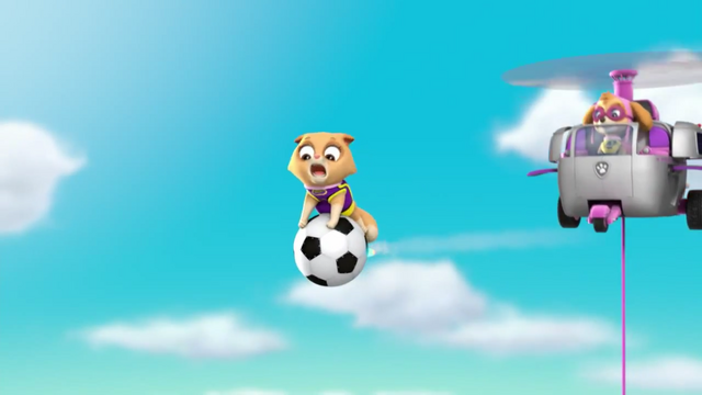File:Pups Soccer 56.png