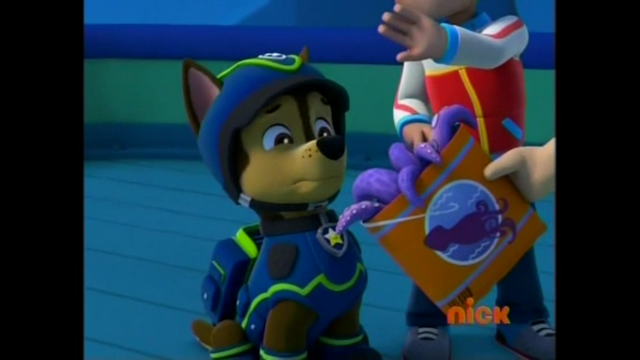 File:Pp293.png
