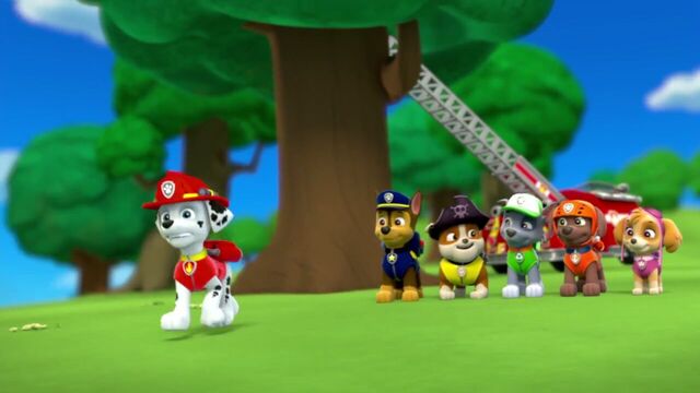 File:PAW.Patrol.S01E26.Pups.and.the.Pirate.Treasure.720p.WEBRip.x264.AAC 1037169.jpg