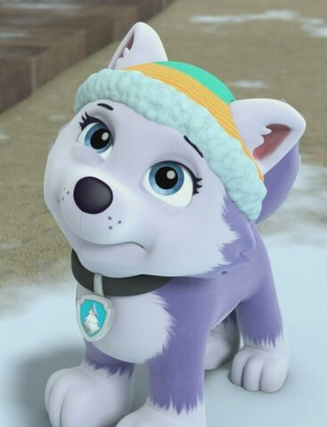 File:Everest PAW Patrol- smile.jpg