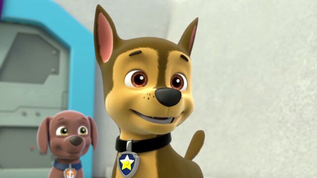 File:PAW.Patrol.S01E26.Pups.and.the.Pirate.Treasure.720p.WEBRip.x264.AAC 149883.jpg