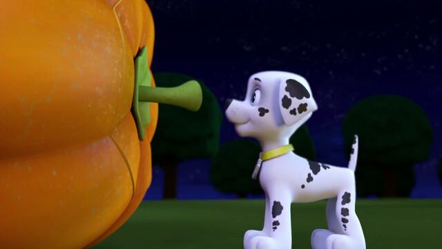 File:PAW.Patrol.S01E12.Pups.and.the.Ghost.Pirate.720p.WEBRip.x264.AAC 116416.jpg
