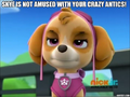 Thumbnail for version as of 19:44, October 23, 2016