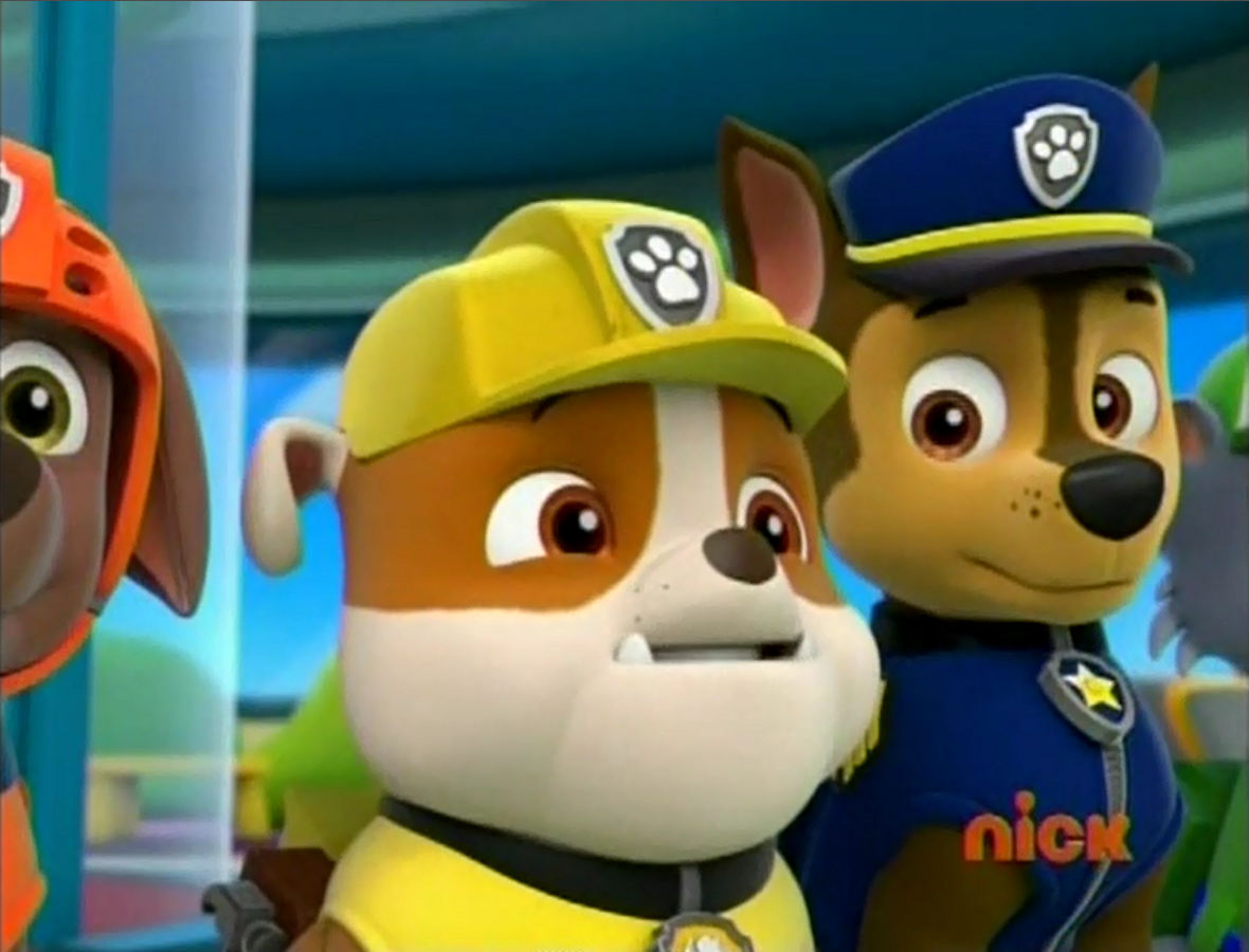 paw patrol pirate treasure
