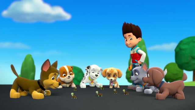 File:Vlcsnap-2014-06-08-10h23m49s251.png