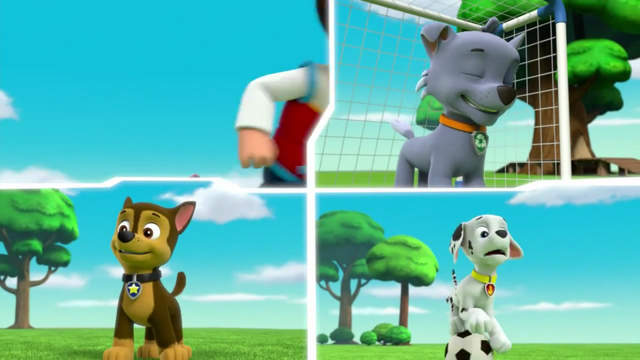 File:Pups Soccer 11.png