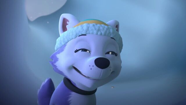File:PAW.Patrol.S02E07.The.New.Pup.720p.WEBRip.x264.AAC 595195.jpg