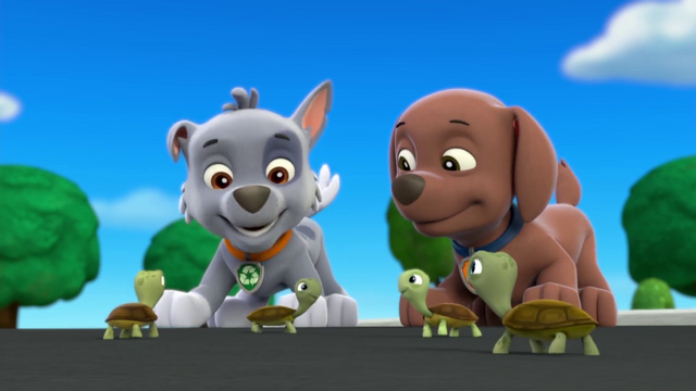 File:Vlcsnap-2014-06-08-10h41m51s71.png