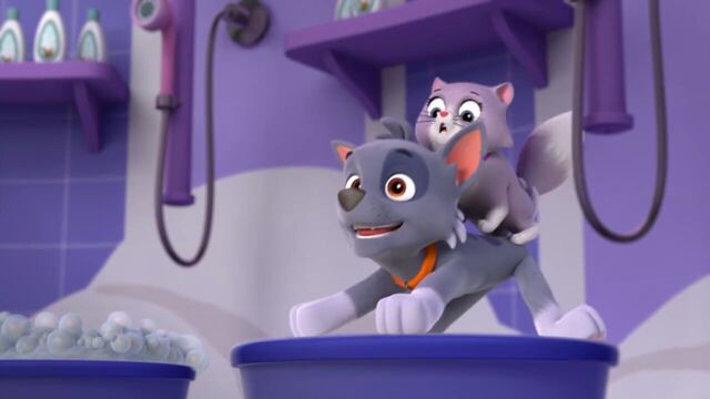 File:PAW.Patrol.S01E15.Pups.Make.a.Splash.-.Pups.Fall.Festival.720p.WEBRip.x264.AAC 512545.jpg