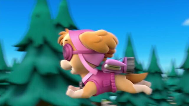 File:PAW.Patrol.S01E26.Pups.and.the.Pirate.Treasure.720p.WEBRip.x264.AAC 716482.jpg