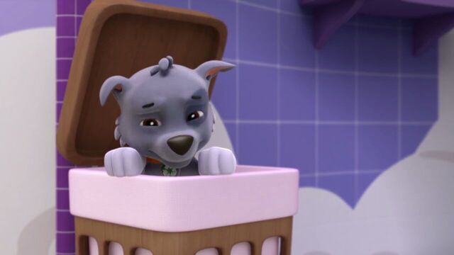 File:PAW.Patrol.S01E15.Pups.Make.a.Splash.-.Pups.Fall.Festival.720p.WEBRip.x264.AAC 137237.jpg