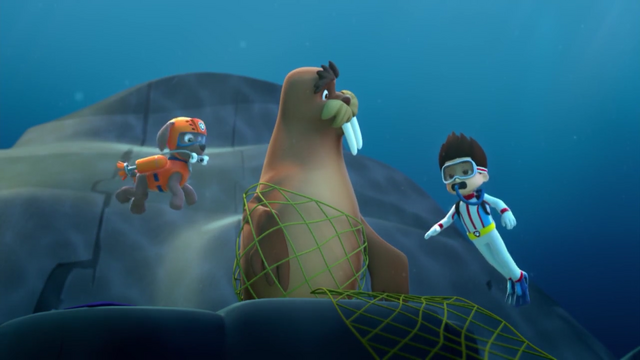 File:Screenshot 2016-12-12-11-36-43.png