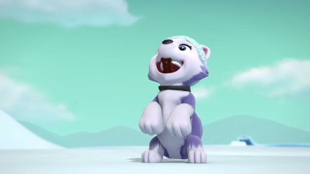 File:PAW.Patrol.S02E07.The.New.Pup.720p.WEBRip.x264.AAC 1276041.jpg
