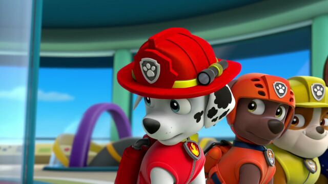 File:PAW.Patrol 567.jpg
