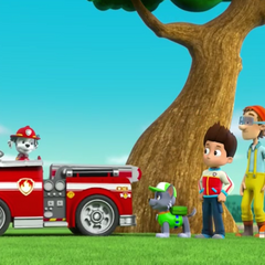 Marshall/Gallery/Pups Save a Lucky Collar | PAW Patrol Wiki | FANDOM powered by Wikia