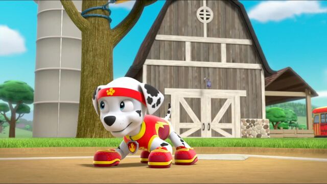 File:All Star Pups! 35.jpg