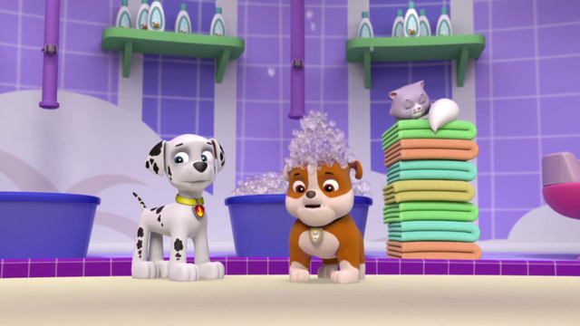 File:Vlcsnap-2014-04-11-19h32m05s162.png