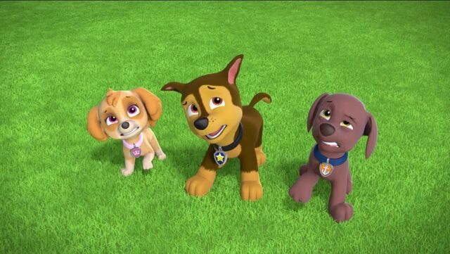 File:PAW Patrol Monkey-naut Scene Chase Zuma Skye.jpg