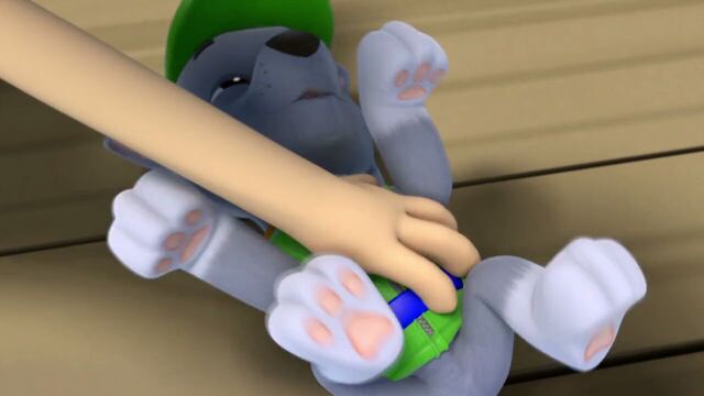 File:PAW.Patrol.S01E15.Pups.Make.a.Splash.-.Pups.Fall.Festival.720p.WEBRip.x264.AAC 654420.jpg