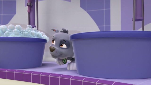 File:PAW.Patrol.S01E15.Pups.Make.a.Splash.-.Pups.Fall.Festival.720p.WEBRip.x264.AAC 72439.jpg