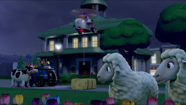 File:Sleepover 39.jpg