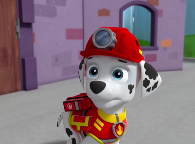 File:Vlcsnap-2014-11-02-10h09m18s234.png