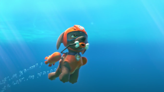 File:Screenshot 2016-12-12-14-19-58.png