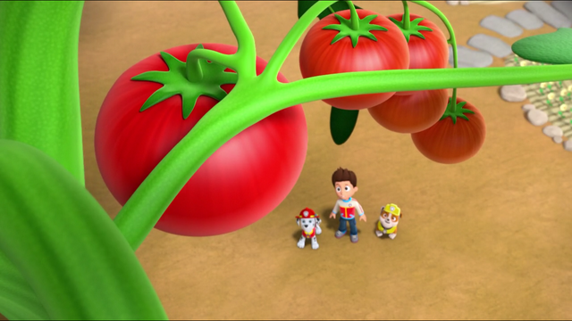 File:Screenshot 2017-01-03-11-30-21.png