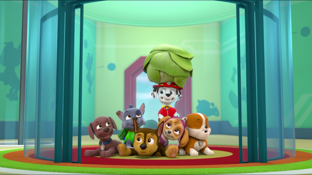 File:Screenshot 2017-01-03-11-11-43.png