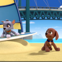 turtle from paw patrol movie