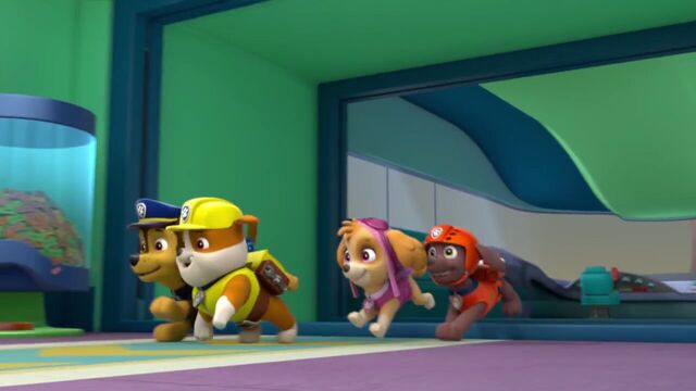 File:PAW.Patrol.S02E07.The.New.Pup.720p.WEBRip.x264.AAC 301468.jpg