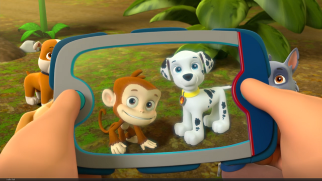 File:Pp3081.png