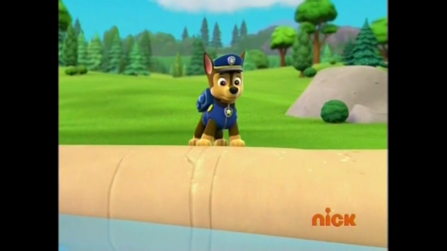 File:Pp323.png