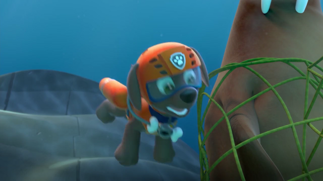 File:Screenshot 2016-12-12-11-37-07.png