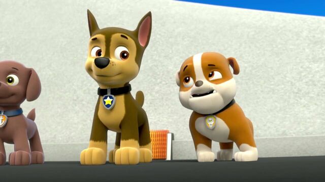 File:PAW.Patrol.S01E26.Pups.and.the.Pirate.Treasure.720p.WEBRip.x264.AAC 131932.jpg