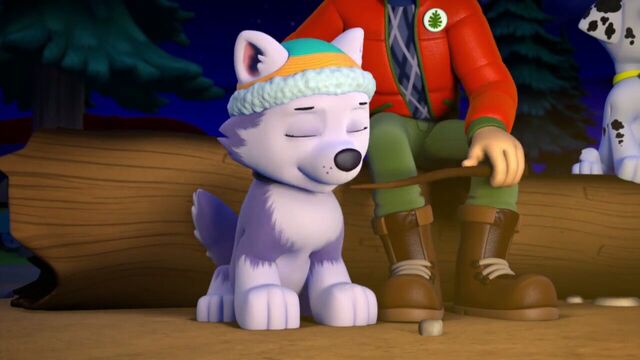 File:PAW.Patrol.S02E07.The.New.Pup.720p.WEBRip.x264.AAC 1290790.jpg