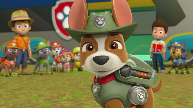 File:315-tracker-the-jungle-pup-16x9.jpg