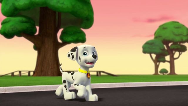 File:Vlcsnap-2014-11-12-17h38m29s112.png