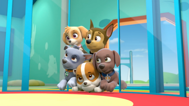 File:Wedgies.png