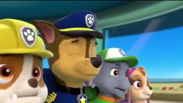 File:Chasepukeeyesclose1.jpeg