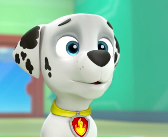 File:Screenshot 2017-05-15 07.51.14.png