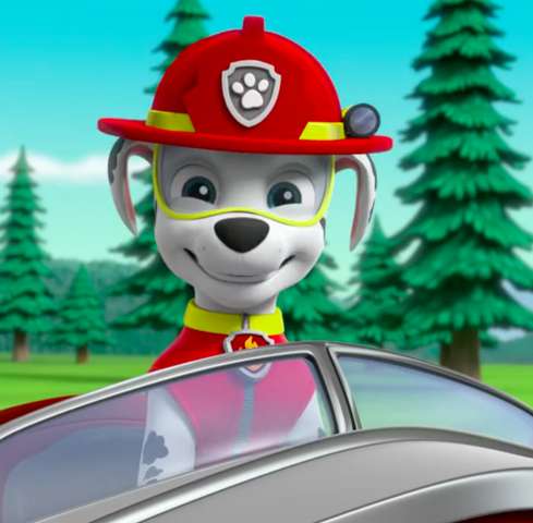 File:Screenshot 2017-05-19 10.19.46.png