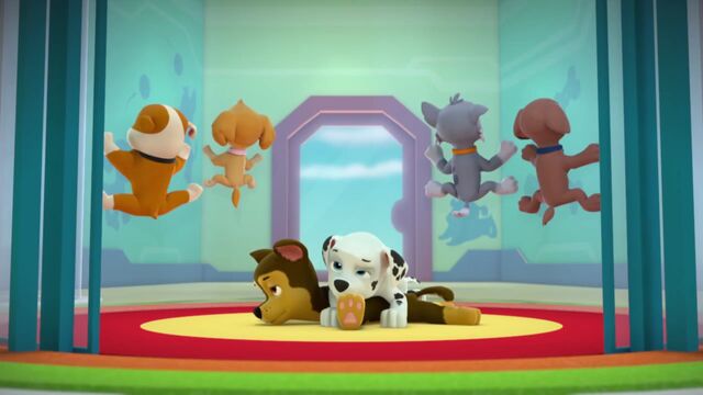 Plik:PAW.Patrol.S02E02.Pups.Save.the.Penguins.-.Pups.Save.a.Dolphin.Pup.720p.WEBRip.x264.AAC.mp4 000163363.jpg